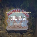 광안숲 | [부산/광안리] 광안리 가볼만한 곳 오션뷰 실내동물원 ‘애니멀숲’, 내돈내산 후기(주말)
