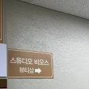 스튜디오비오스
