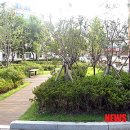 보운초교 이미지