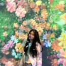 사진공간 寫室 사진전시회 | 경주 가볼만한곳 코스믹리조트 실내데이트 보문단지 볼거리 전시회 솔직후기