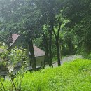 시내산펜션 이미지