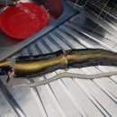 장자골 농장 이미지