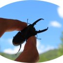 낙산계곡펜션 이미지