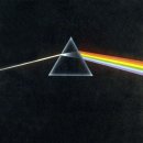 DREAM 태권도 | [혼자 수원에서 놀기] 바이닐 스타필드 수원점 _ pink floyd(핑크 플로이드) 앨범 있다!