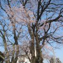 광령초등학교 이미지