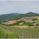 평원스테이 이미지