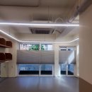 에꼴드펫 이미지