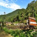 순천자연휴양림 이미지