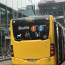 봉골레하우스민박 | 🇮🇹 6월 이탈리아 로마 4박 여행 [콜로세움, 포로 로마노, 바티칸 미술관]