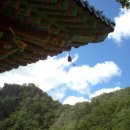 송학사 Daum카페