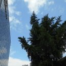 한국현대문학관 이미지