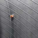 대길모터스 이미지