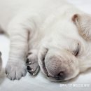 주식회사 해담은 이미지