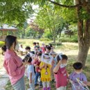 온양제일유치원 이미지