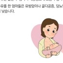 4기 모유수유교실 이미지