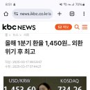 올해 1분기 환율 1450원 ...외환위기 후 최고 이미지