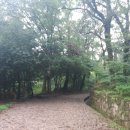 아리랑여관 이미지