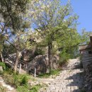 녹산 약수터 이미지