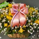 꽃집아재비 이미지