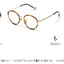 소나무안경 이미지