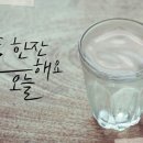 오늘술한잔 Daum카페