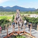 “26만㎡ 대규모 정원이 전부 꽃바다”... 유네스코가 인정한 공원에서 펼쳐지는 가을꽃 축제 이미지