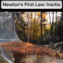 뉴턴의 제1법칙 이미지