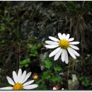 수월산방 이미지