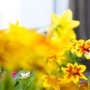 대구조이맘산부인과의원 이미지