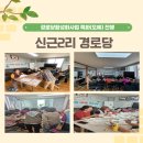 신근경로당 Daum카페