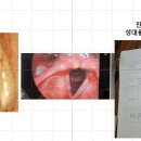 원플러스원 농장 이미지
