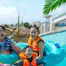 스플라스리솜 이미지