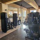 핑크덤벨 이미지