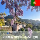 신트라(SINTRA) 호텔 | [Azul💙Portugal] 갑작스럽게 시작된 여행 계획, 차근차근 포르투갈 여행 준비 - 포르투와 신트라 호텔 예약