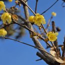 노안초등학교 이미지