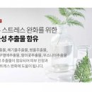 오케이토탈 이미지