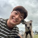 윤정 농장 | [2월 호주여행] 호주무한투어 시드니 포토스테판+오크베일동물원 데일리 투어 feat. 돌고래, 코알라...