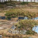청구환경