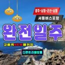 [울릉도여행] 후포출발 광주-전주 셔틀포함[고품격-석식포함 7식] "NEW" 독도사랑 2박3일패키지여행 이미지