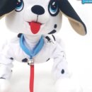 산책하는 강아지 이미지