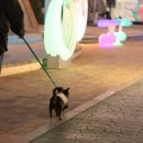 GS25 신림성화 이미지