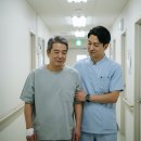 간병인 사용 특약 가능한 교보생명 교보마이플랜건강보험 다이렉트 보험료 후기