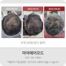 마야헤어모드 이미지