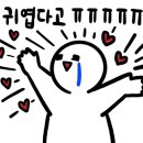 젤리빈스튜디오 이미지