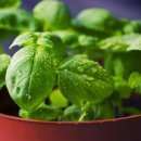 스위트허브 이미지