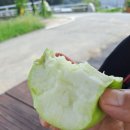 파주삼릉점 이미지