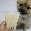 비 마이 퍼피 이미지