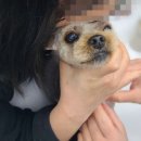 부천종합동물병원 이미지