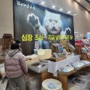 캣 | 송도마이캣페어 후기 오늘 날씨 미쳤다