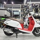 욜로모터스 이미지